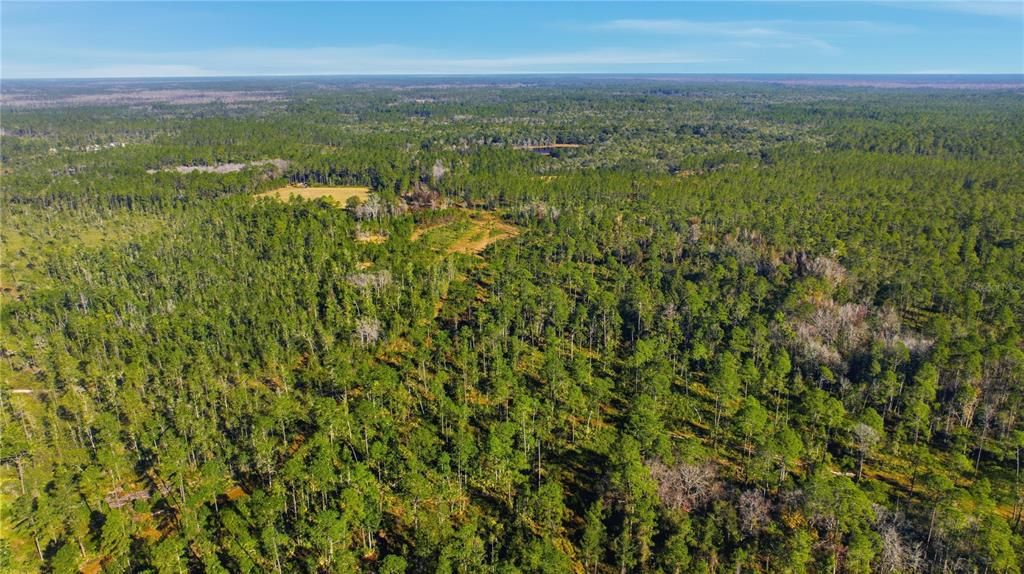 待售: $403,000 (16.12 acres)