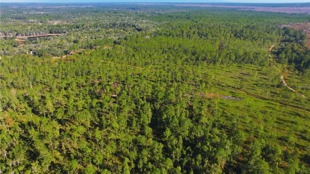 待售: $403,000 (16.12 acres)