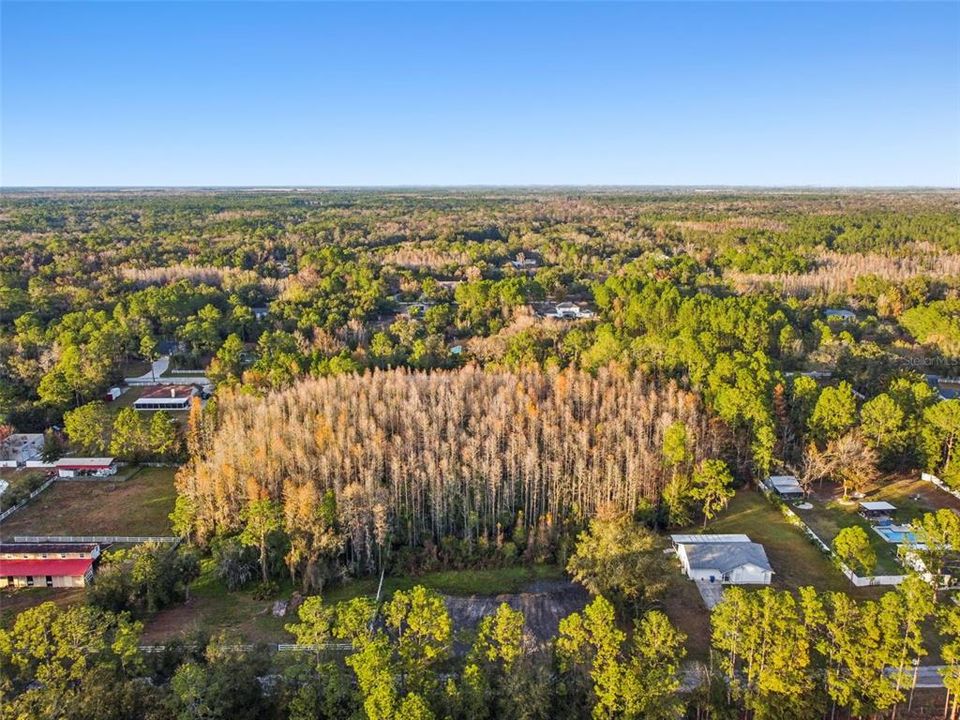 For Sale: $120,000 (1.00 acres)