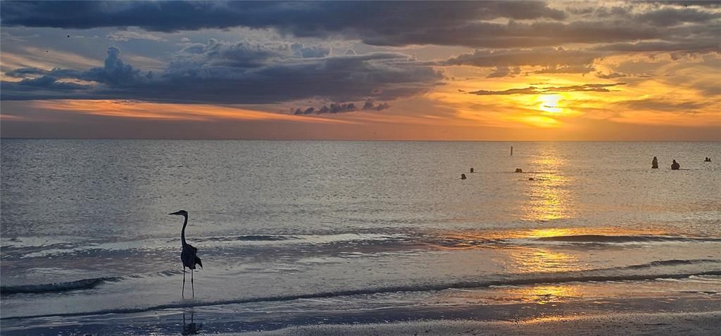 For Sale: $869,000 (3 beds, 3 baths, 2438 Square Feet)