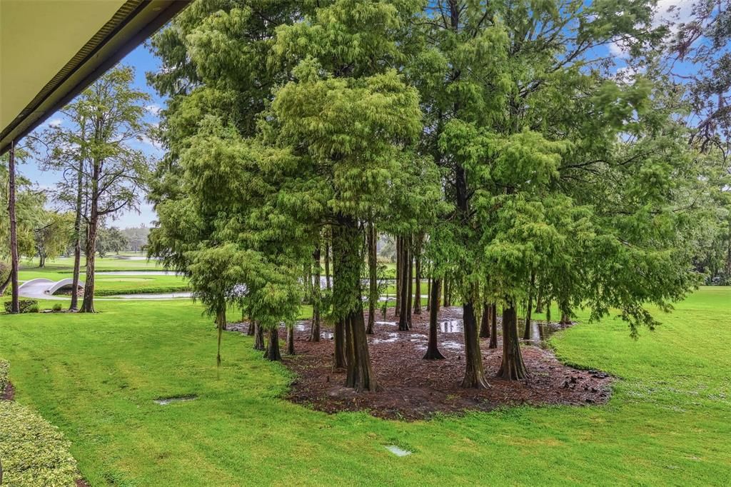 For Sale: $184,900 (1 beds, 1 baths, 530 Square Feet)