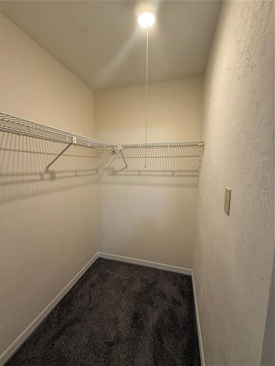 出租: $1,175 (2 贝兹, 1 浴室, 1120 平方英尺)