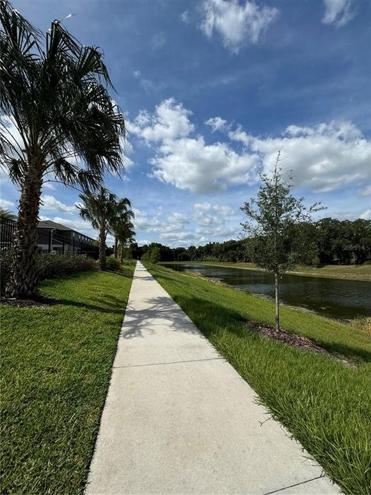 出租: $2,400 (3 贝兹, 2 浴室, 1484 平方英尺)