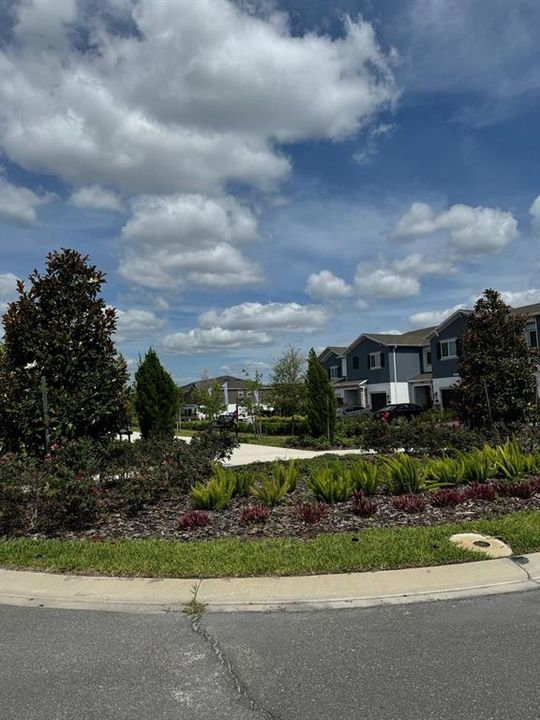 出租: $2,400 (3 贝兹, 2 浴室, 1484 平方英尺)