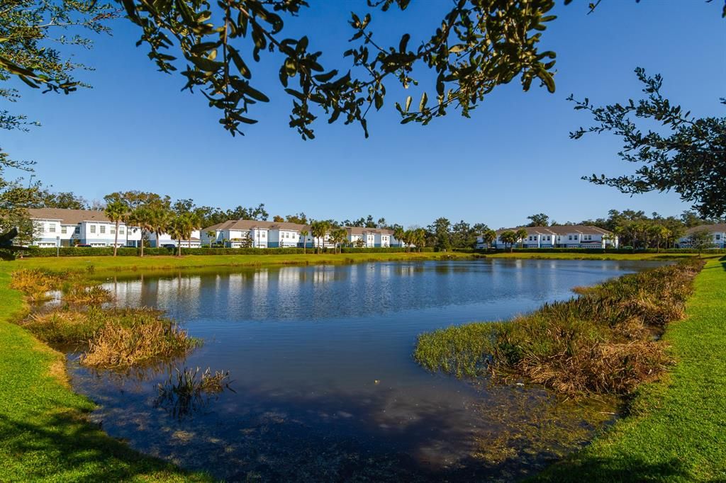 待售: $395,000 (3 贝兹, 2 浴室, 1910 平方英尺)