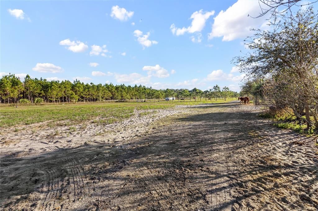 For Sale: $340,000 (5.00 acres)