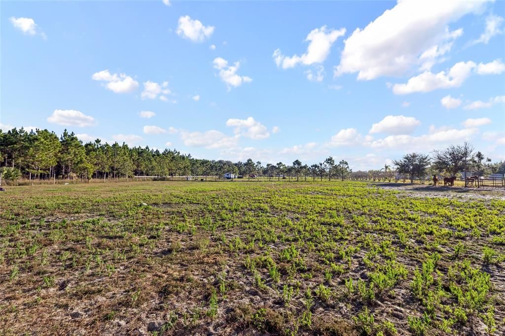 For Sale: $340,000 (5.00 acres)