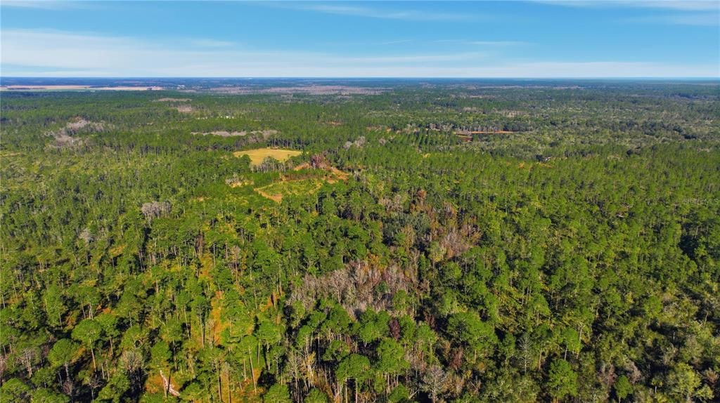 En Venta: $322,250 (12.89 acres)