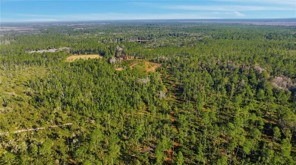 En Venta: $322,250 (12.89 acres)