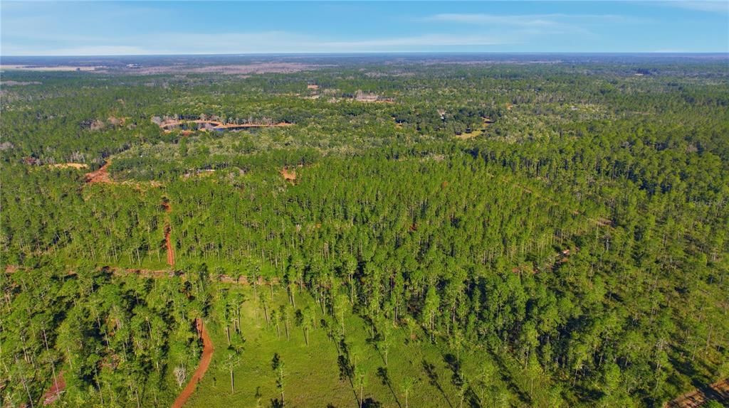 En Venta: $322,250 (12.89 acres)