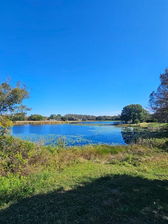 待售: $475,000 (3 贝兹, 2 浴室, 1456 平方英尺)