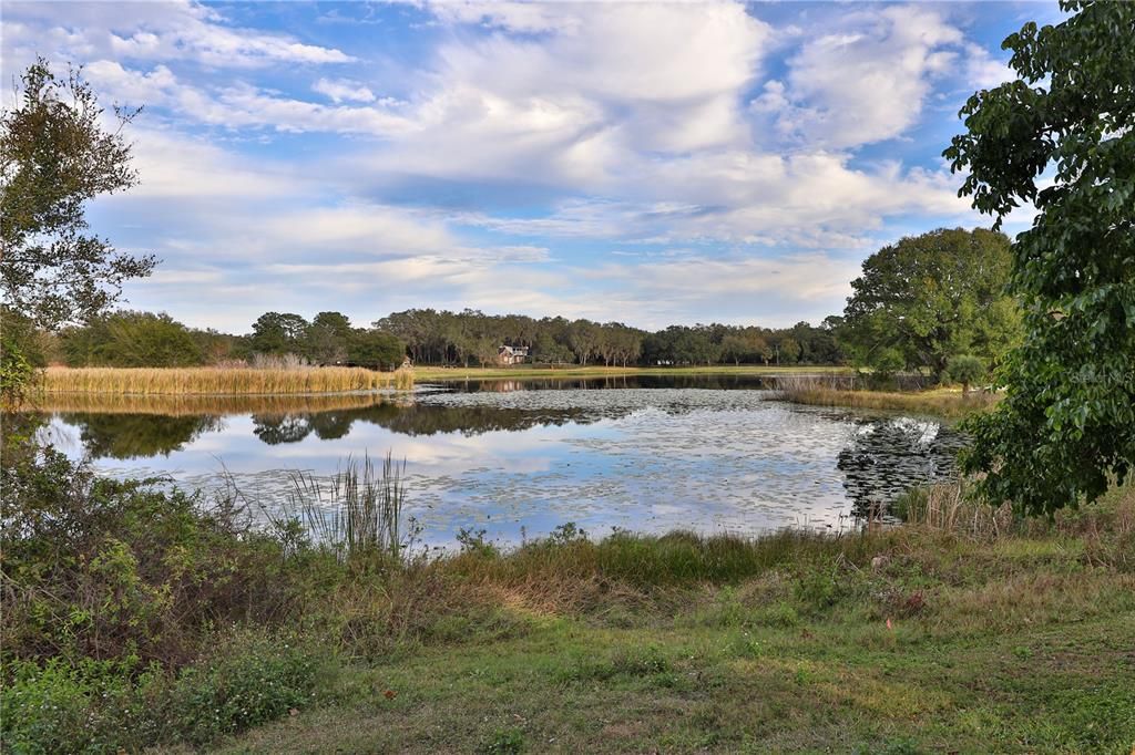 待售: $475,000 (3 贝兹, 2 浴室, 1456 平方英尺)