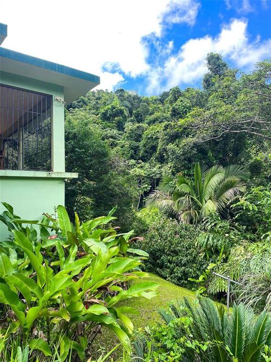 En Venta: $375,000 (3 camas, 4 baños, 1400 Pies cuadrados)