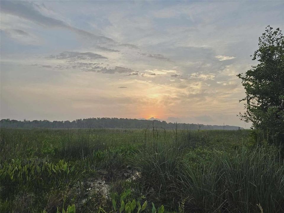 For Sale: $159,500 (3 beds, 1 baths, 1052 Square Feet)