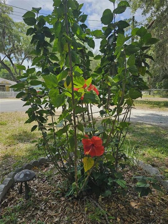 For Sale: $159,500 (3 beds, 1 baths, 1052 Square Feet)