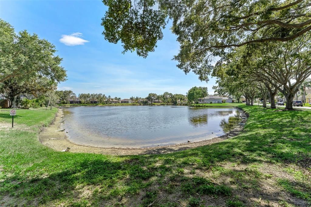 En Venta: $599,999 (4 camas, 2 baños, 2589 Pies cuadrados)