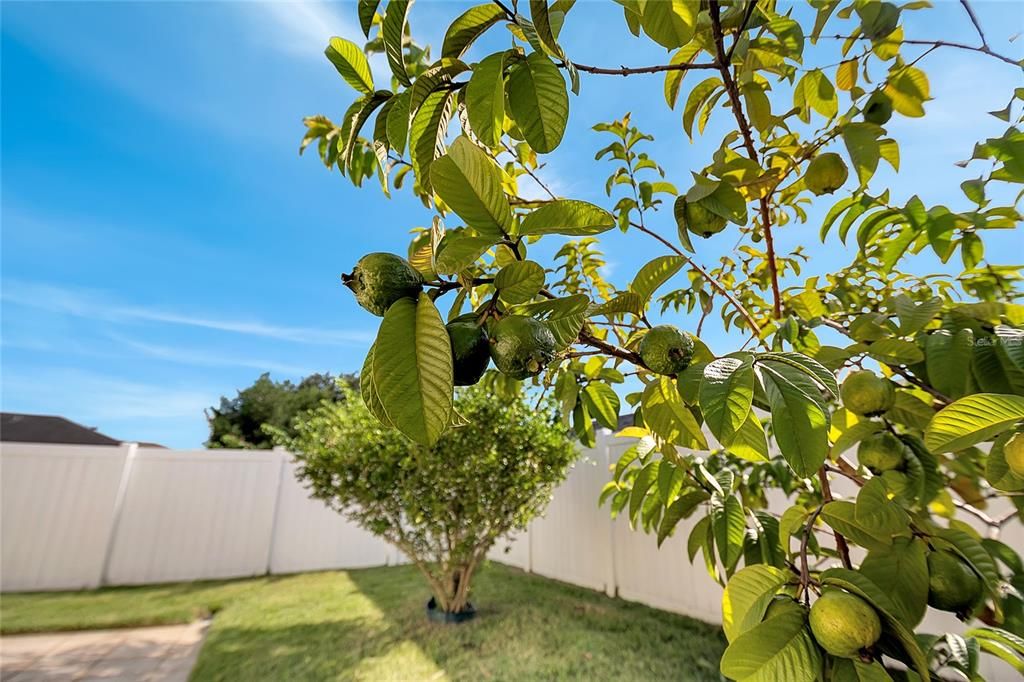 На продажу: $430,000 (3 спален, 2 ванн, 1934 Квадратных фут)