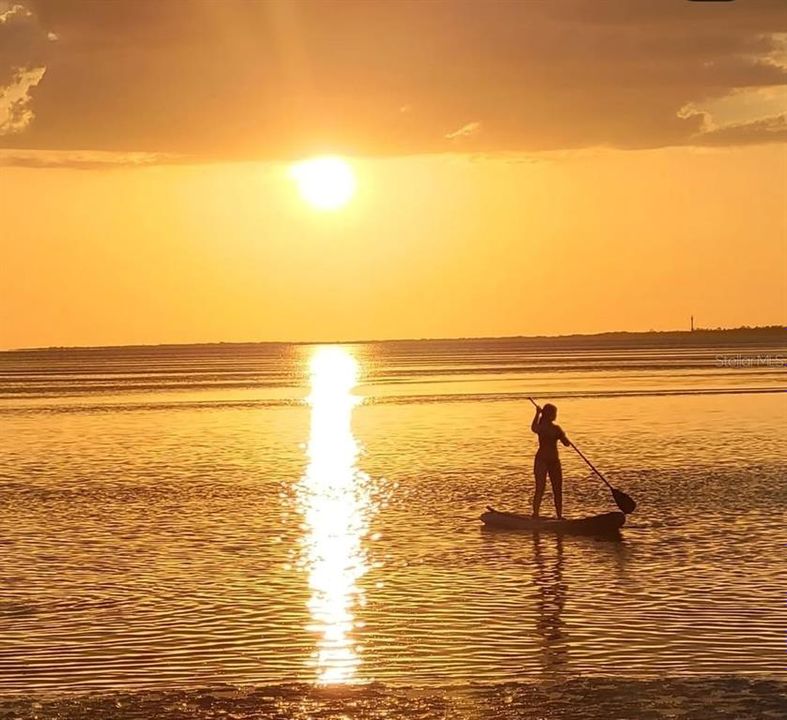 待售: $259,900 (1 贝兹, 1 浴室, 489 平方英尺)