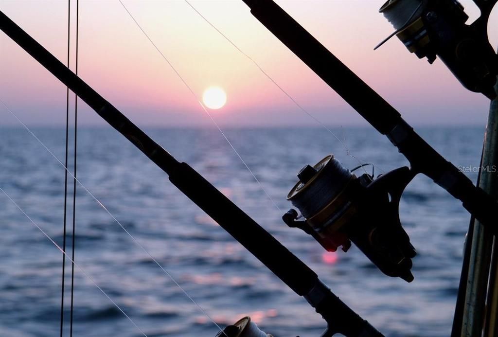 待售: $259,900 (1 贝兹, 1 浴室, 489 平方英尺)