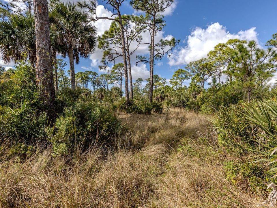 待售: $615,000 (4.03 acres)