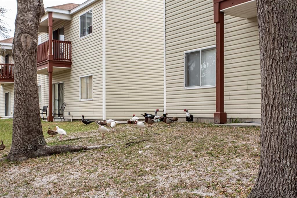 На продажу: $150,000 (2 спален, 2 ванн, 1008 Квадратных фут)