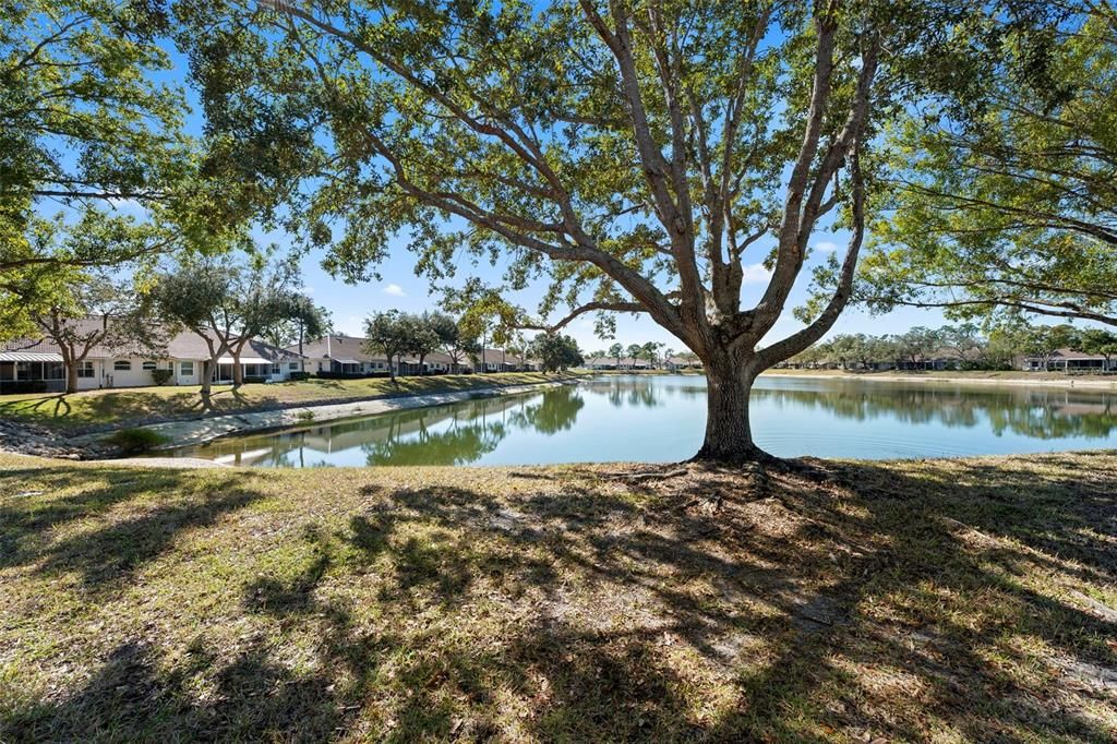 待售: $275,000 (3 贝兹, 2 浴室, 1671 平方英尺)