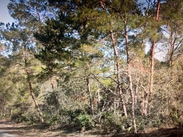 En Venta: $15,000 (0.23 acres)