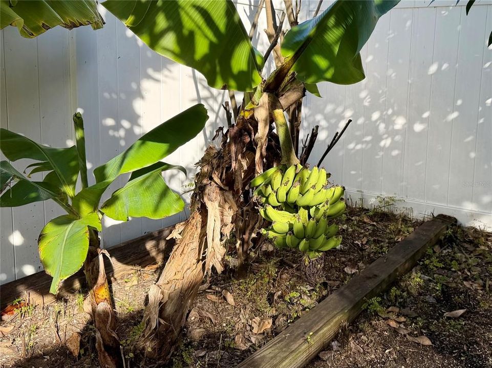 В аренду: $5,000 (6 спален, 4 ванн, 4280 Квадратных фут)