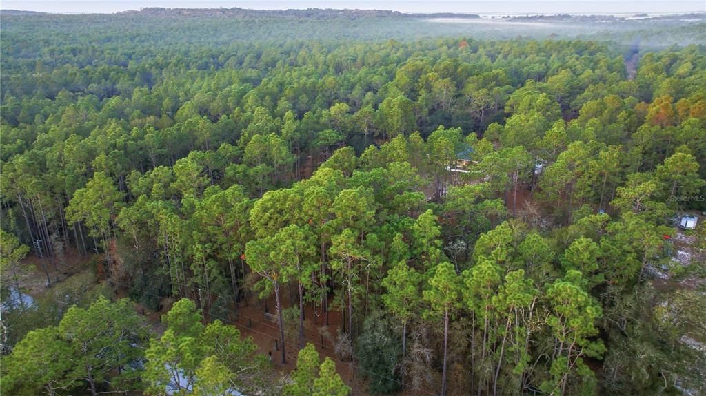 En Venta: $599,000 (3 camas, 2 baños, 1612 Pies cuadrados)