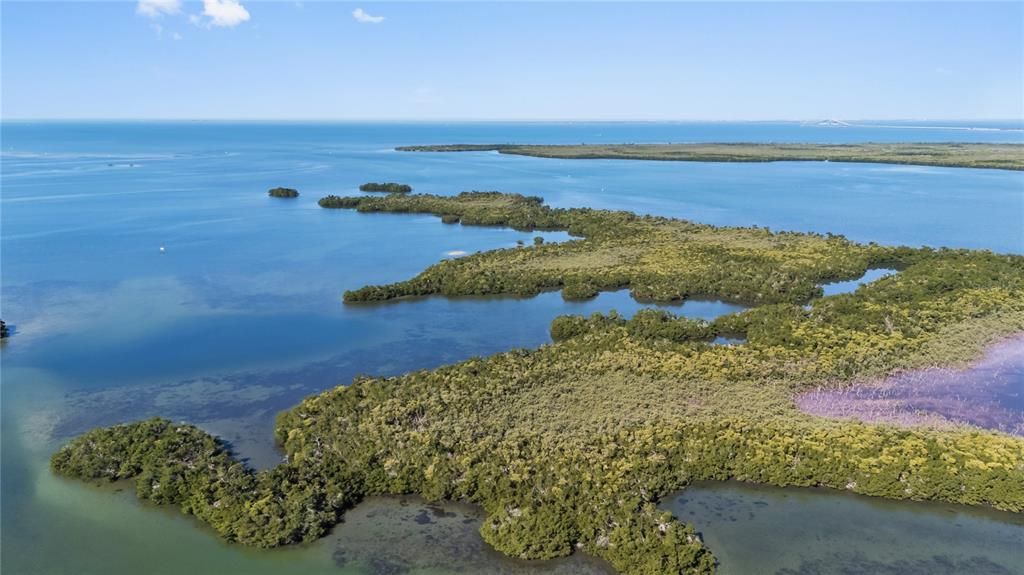 待售: $1,350,000 (0.65 acres)