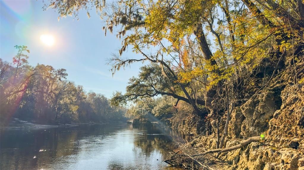 待售: $49,900 (4.10 acres)