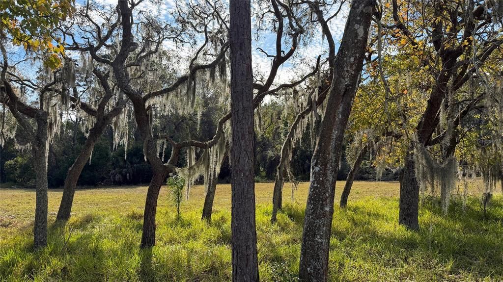 待售: $195,000 (2 贝兹, 2 浴室, 884 平方英尺)