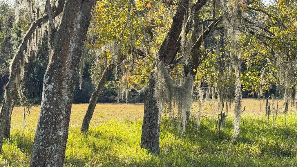 待售: $195,000 (2 贝兹, 2 浴室, 884 平方英尺)