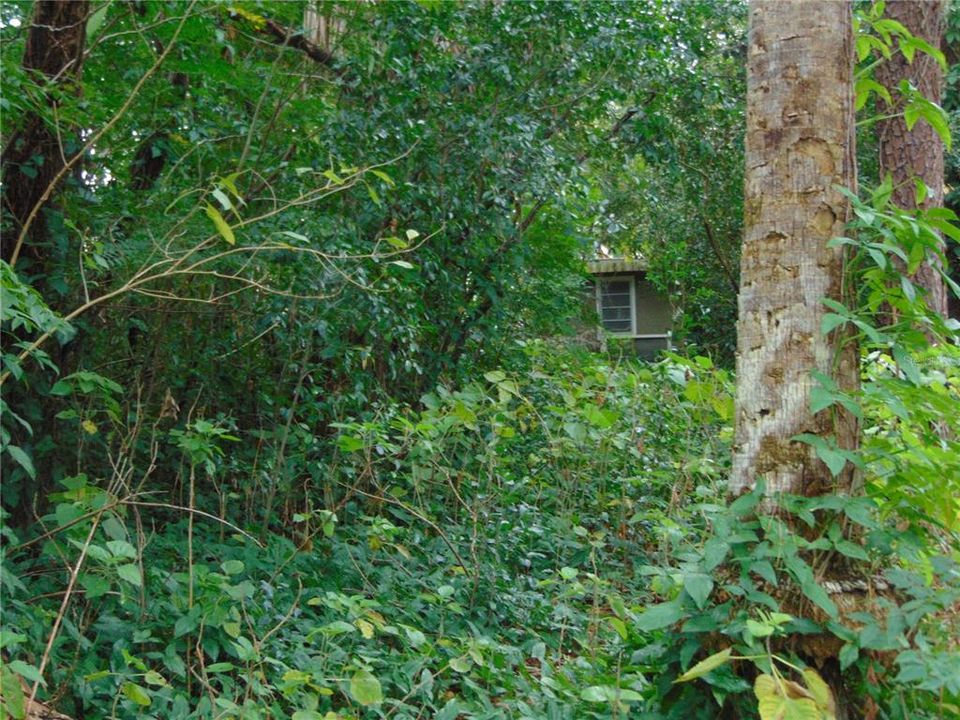 En Venta: $150,000 (0.35 acres)