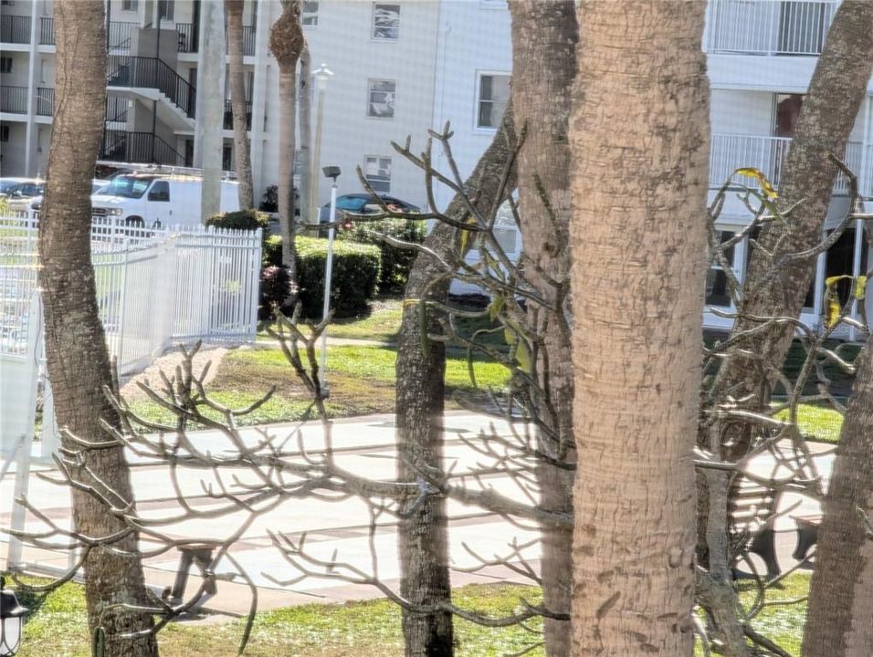 For Sale: $96,000 (1 beds, 1 baths, 576 Square Feet)