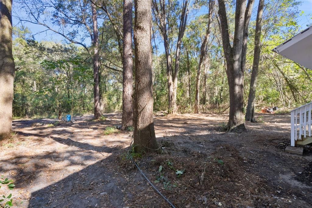 出租: $1,500 (3 贝兹, 1 浴室, 1204 平方英尺)