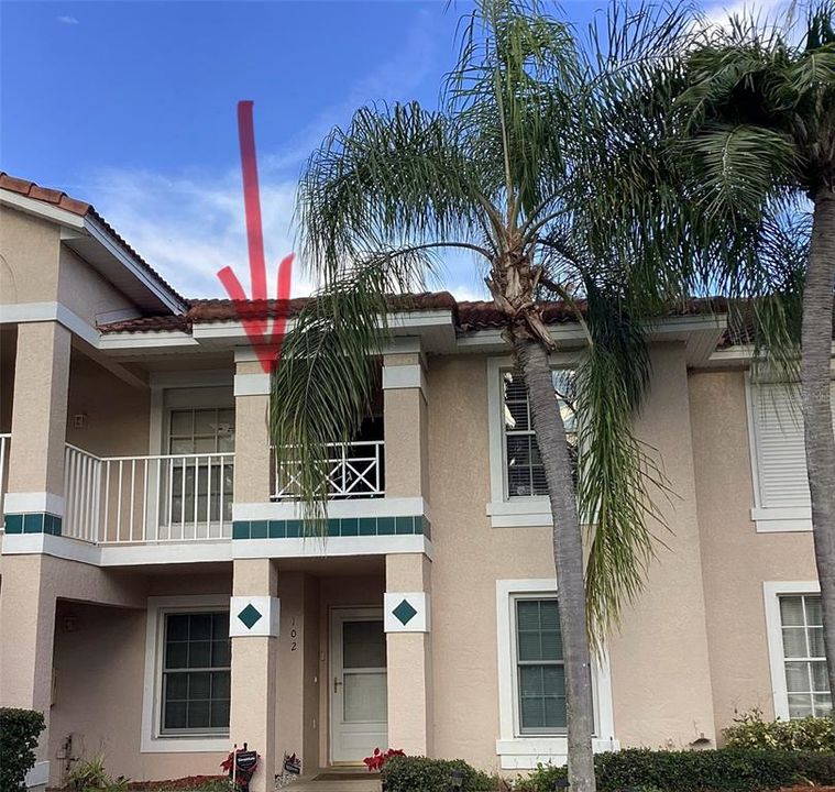 出租: $2,000 (2 贝兹, 2 浴室, 1013 平方英尺)