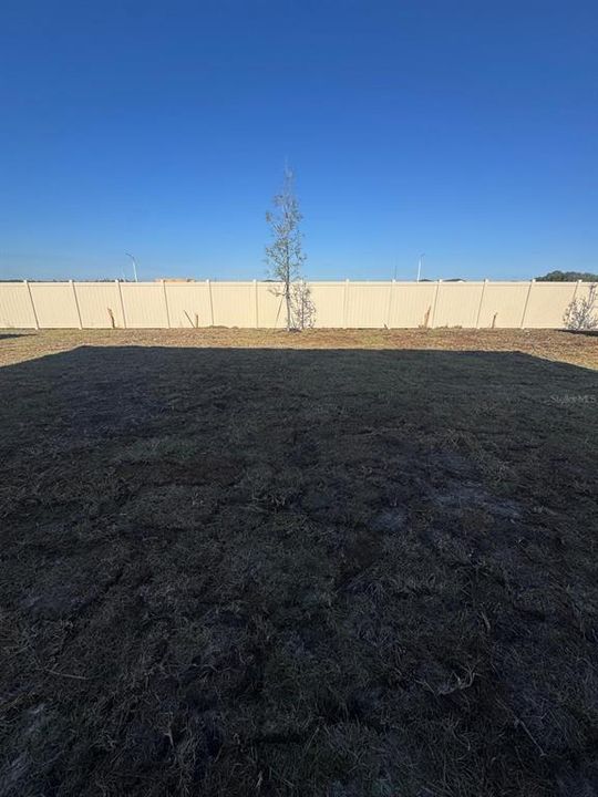 For Rent: $2,600 (4 beds, 2 baths, 2039 Square Feet)