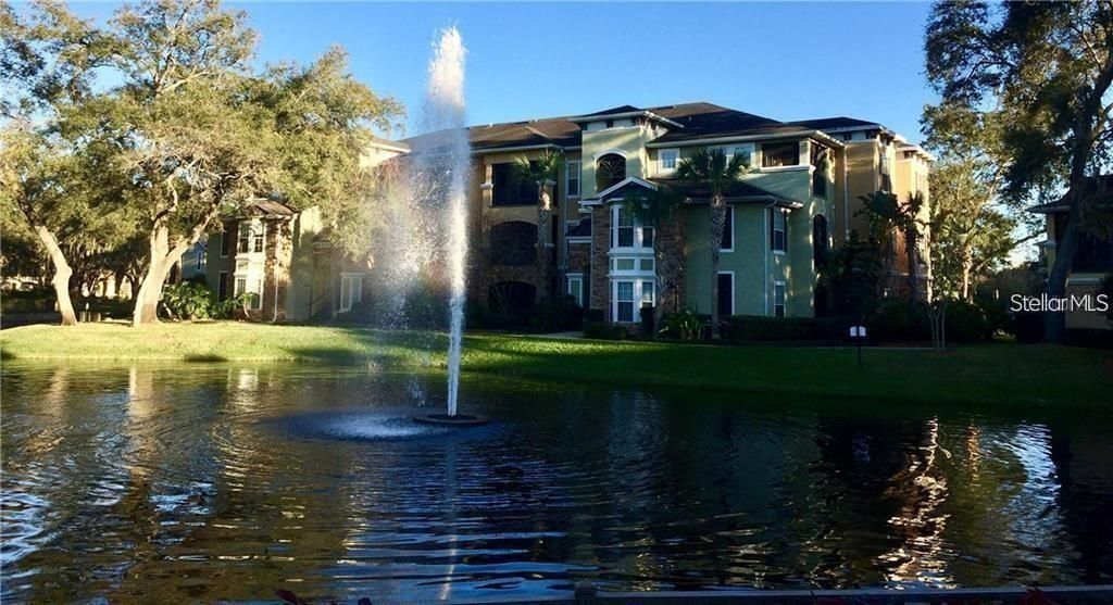 出租: $1,585 (2 贝兹, 2 浴室, 1045 平方英尺)