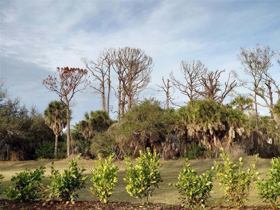 For Sale: $79,900 (0.42 acres)