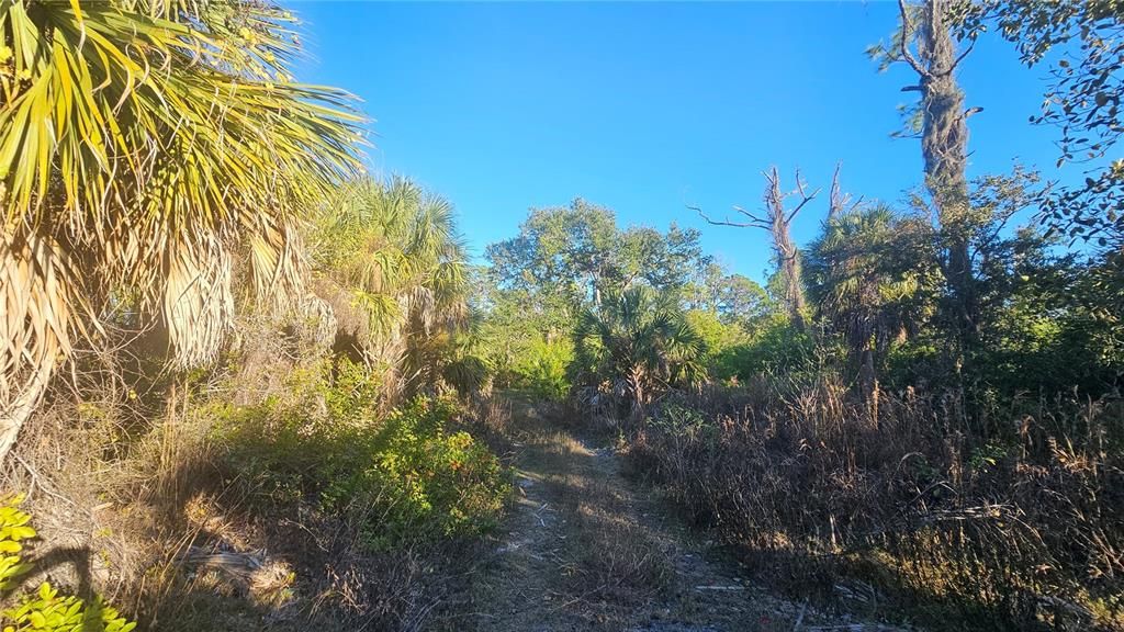 Activo con contrato: $125,000 (1.56 acres)