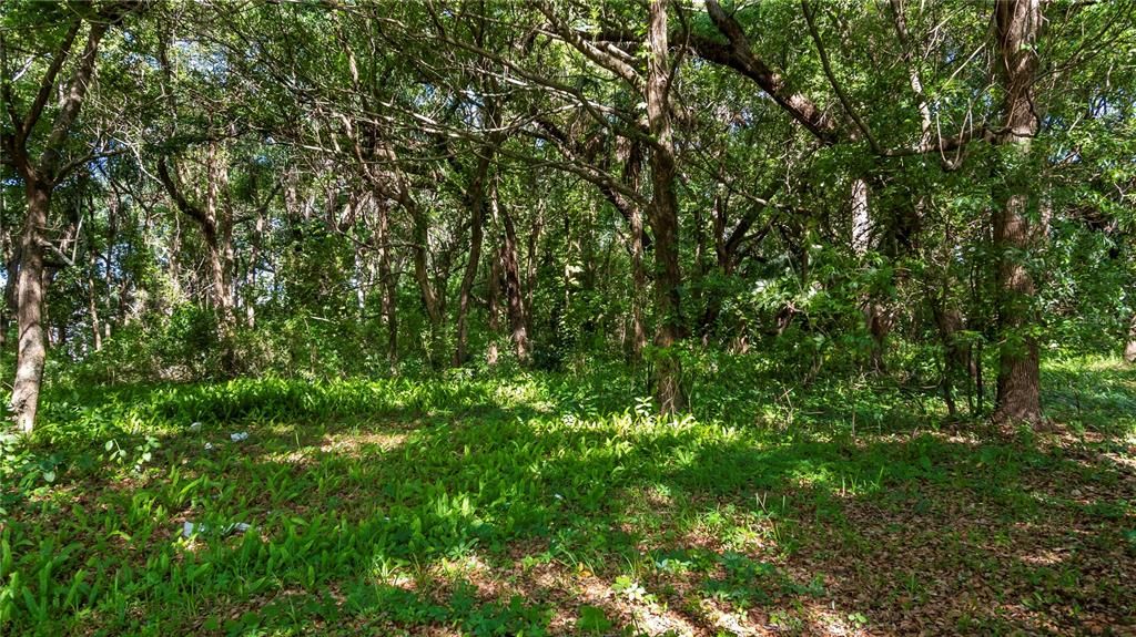 For Sale: $2,500,000 (4.40 acres)