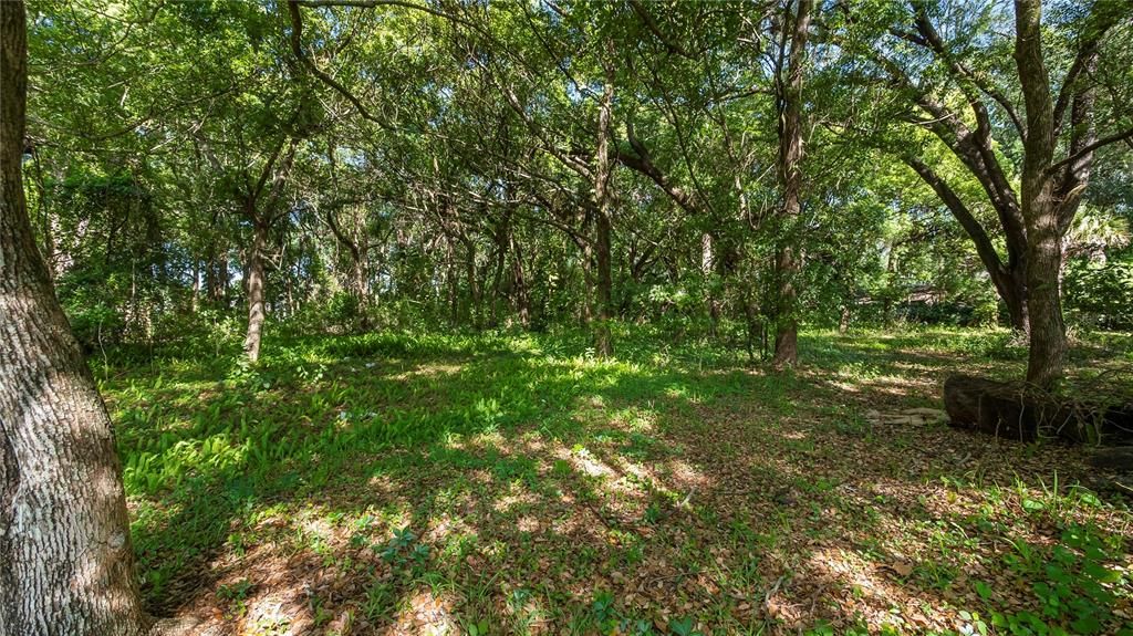 For Sale: $2,500,000 (4.40 acres)