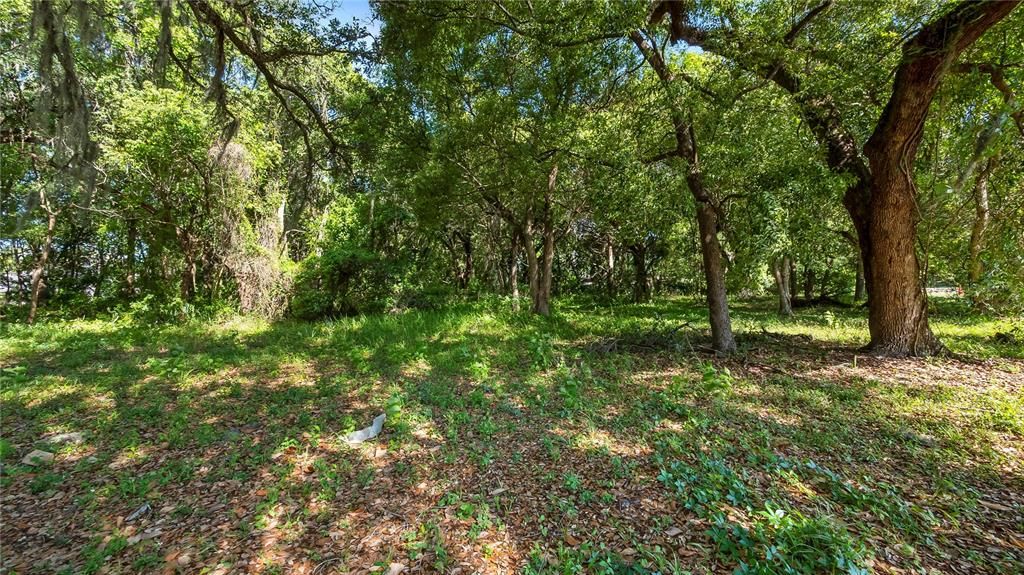 For Sale: $2,500,000 (4.40 acres)