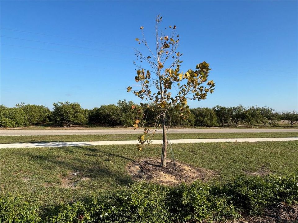 В аренду: $1,950 (4 спален, 2 ванн, 1824 Квадратных фут)