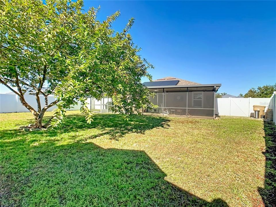 For Sale: $399,000 (3 beds, 2 baths, 1541 Square Feet)