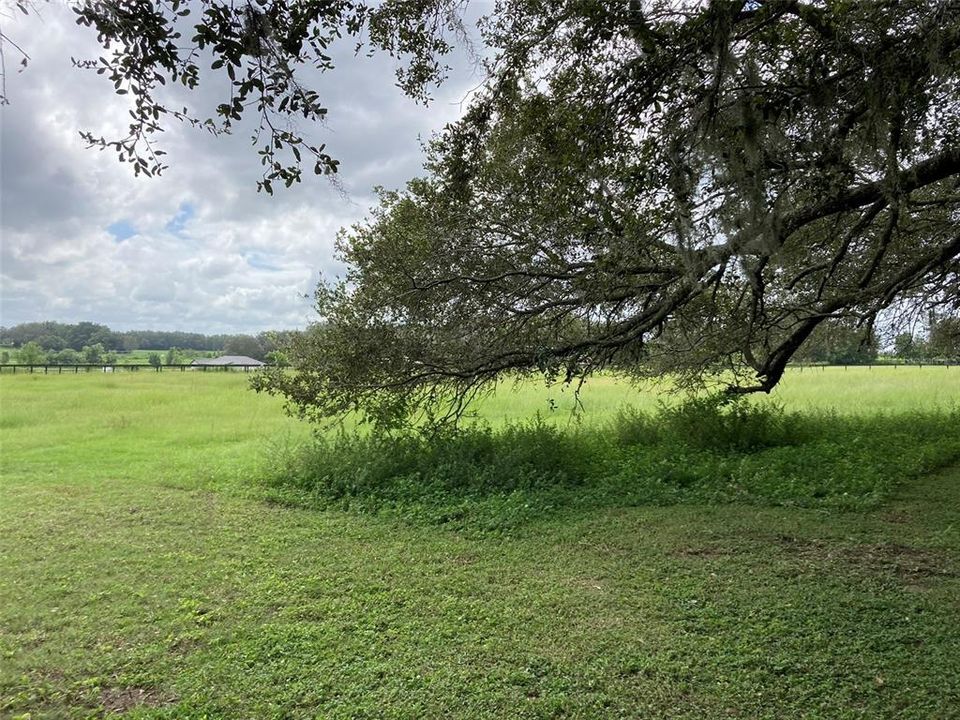 На продажу: $1,144,725 (3 спален, 2 ванн, 2372 Квадратных фут)