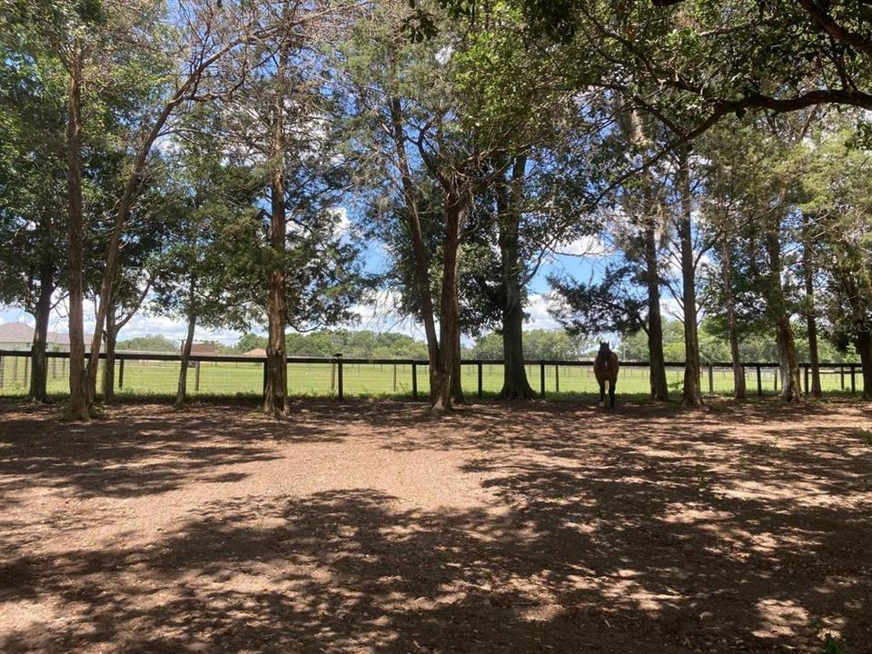 На продажу: $1,144,725 (3 спален, 2 ванн, 2372 Квадратных фут)