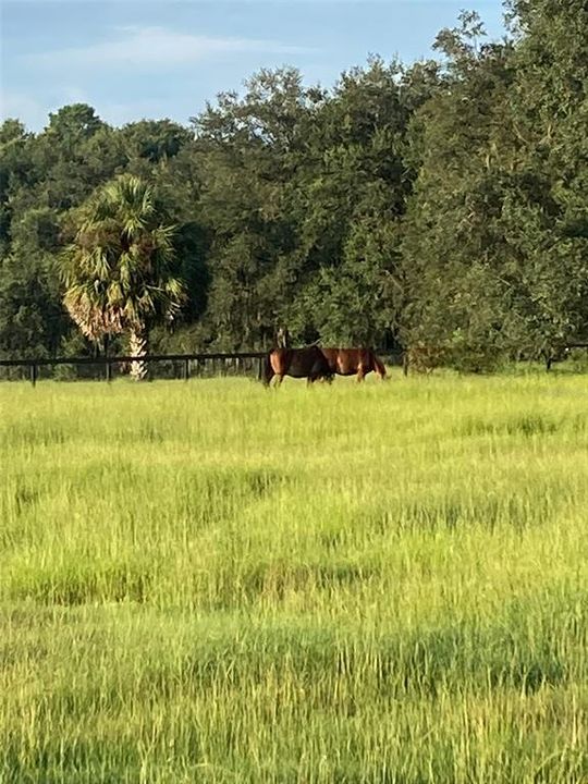 На продажу: $1,144,725 (3 спален, 2 ванн, 2372 Квадратных фут)