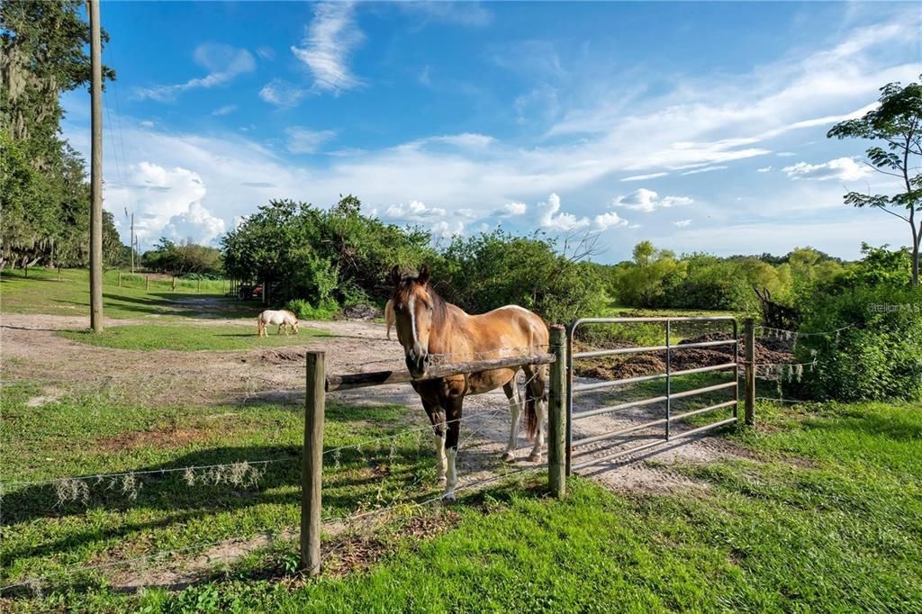 Recently Sold: $0 (3.31 acres)